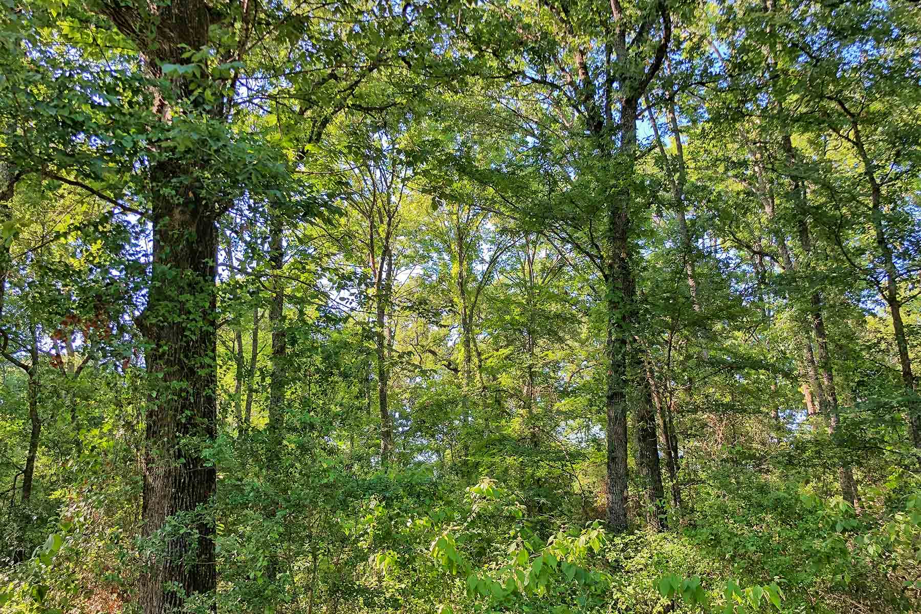 Cayuga Flats Ranch property picture 7 of 26