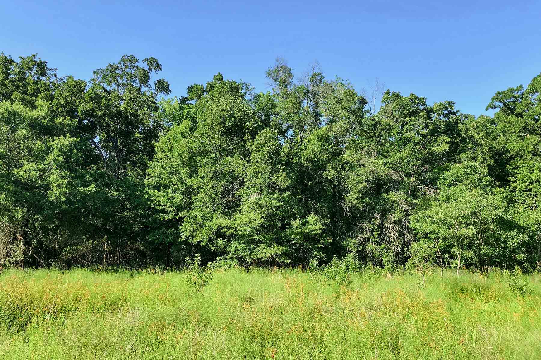 Cayuga Flats Ranch property picture 3 of 26
