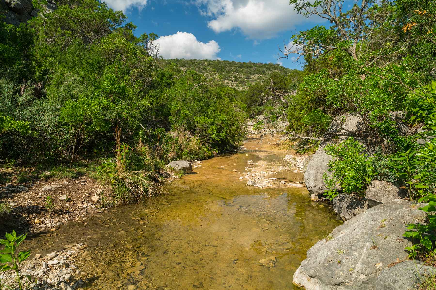 Greenhouse Springs Ranch property picture 3 of 15