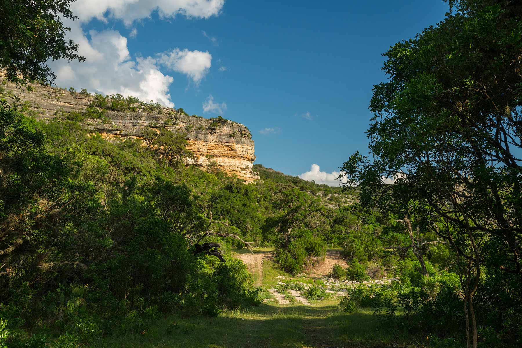 Greenhouse Springs Ranch property picture 4 of 15
