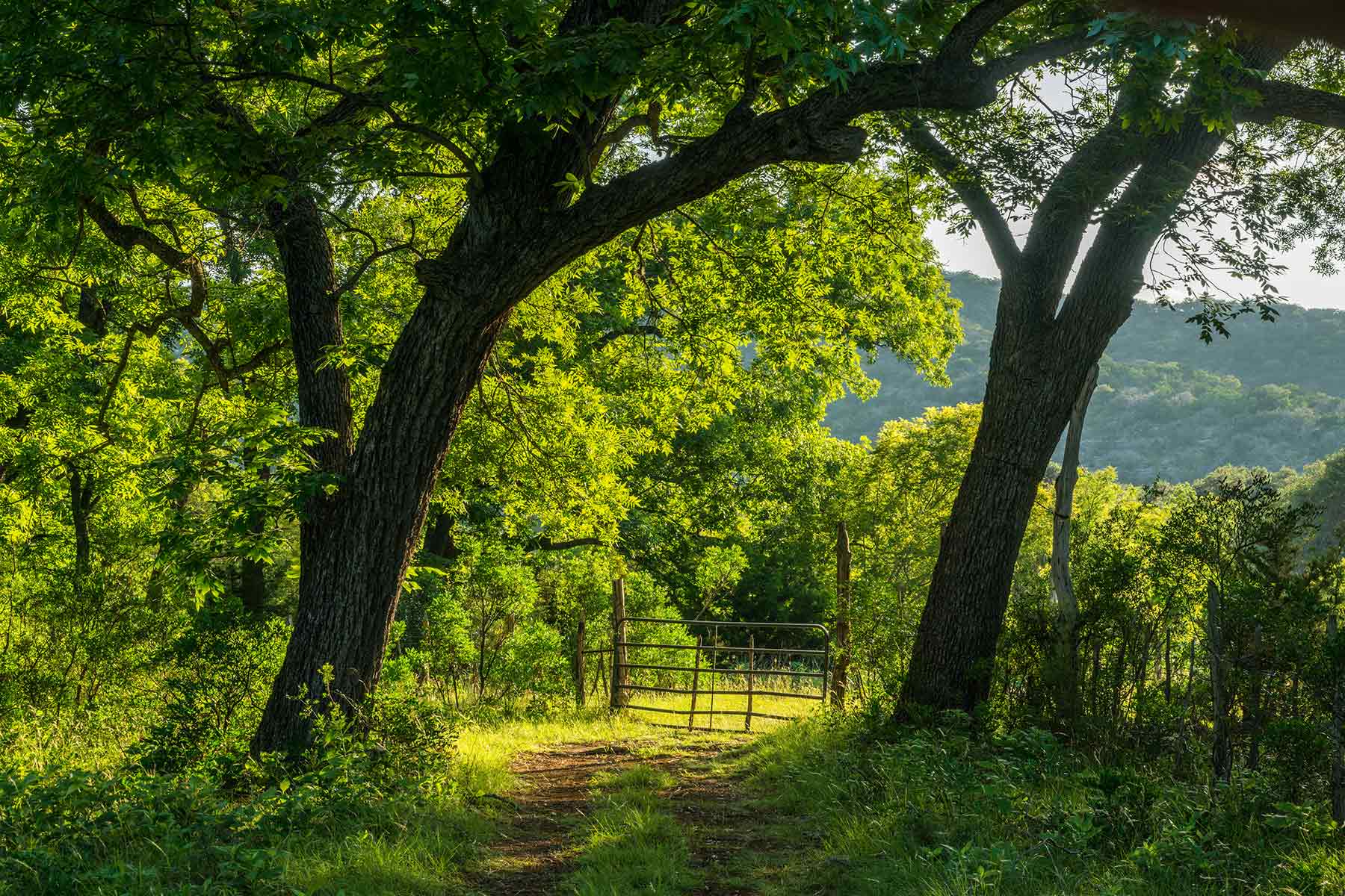Greenhouse Springs Ranch property picture 5 of 15