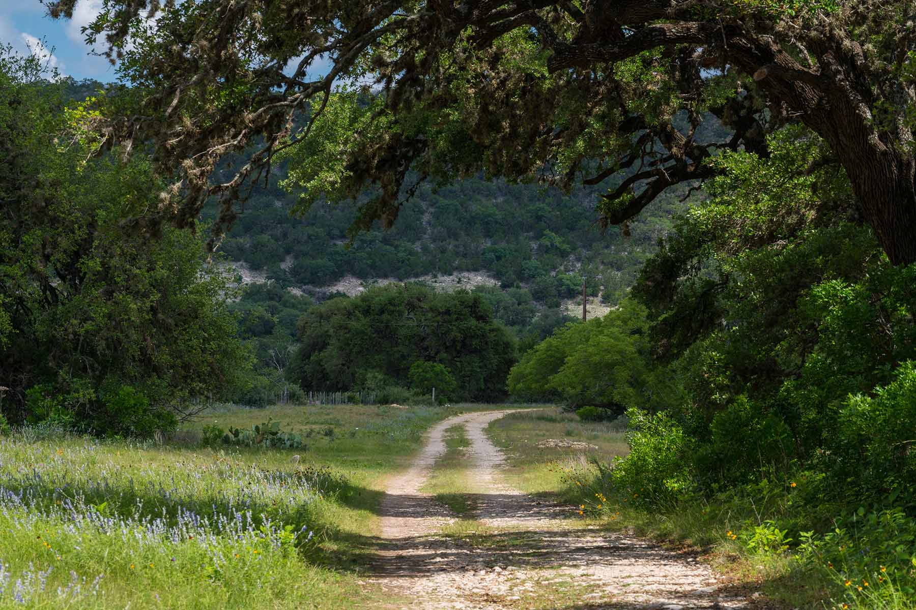 Greenhouse Springs Ranch property picture 10 of 15