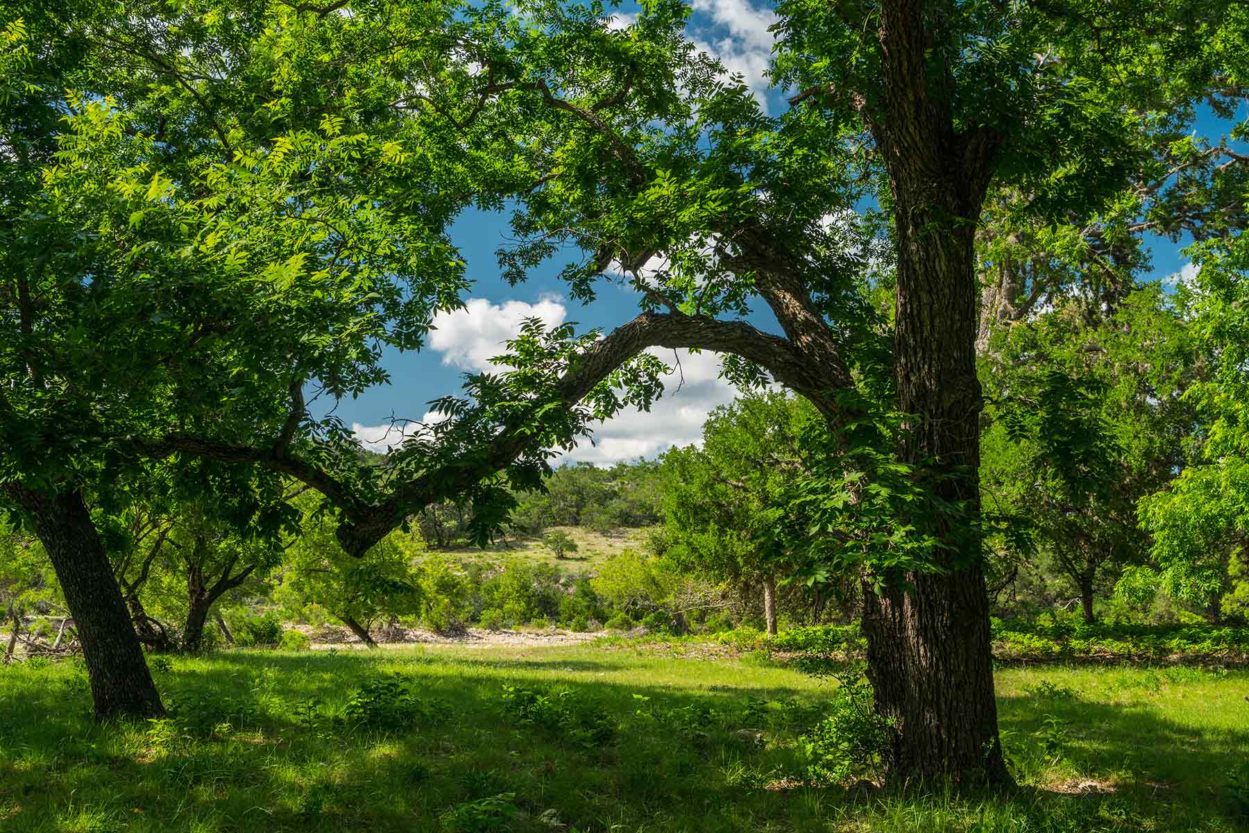 Greenhouse Springs Ranch property picture 11 of 15