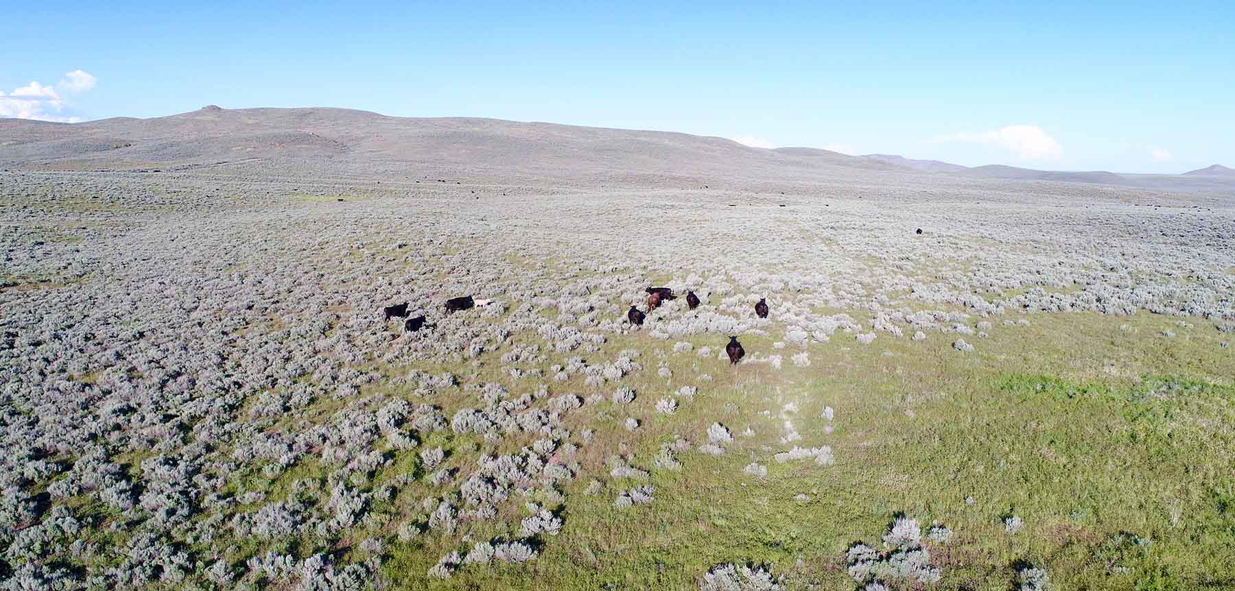 East Magic Ranch property picture 13 of 28