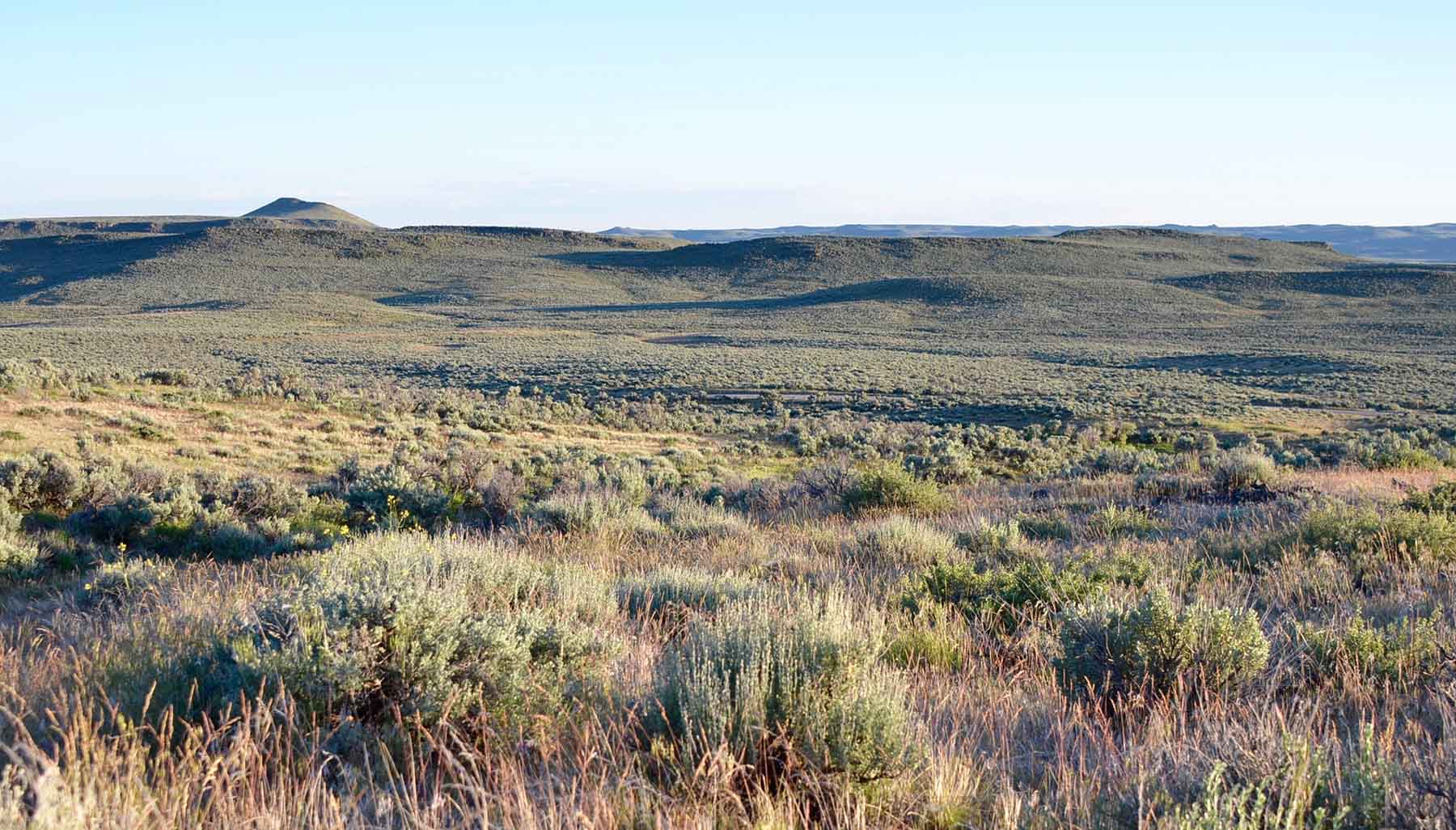 East Magic Ranch property picture 26 of 28