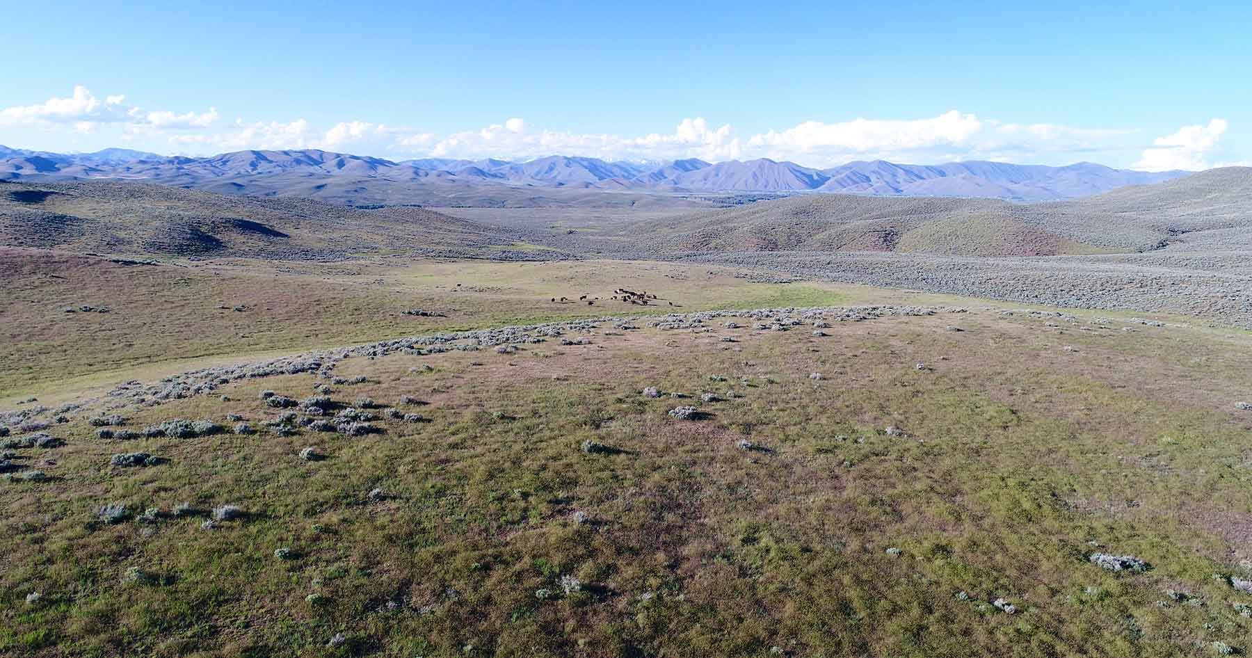 East Magic Ranch property picture 10 of 28