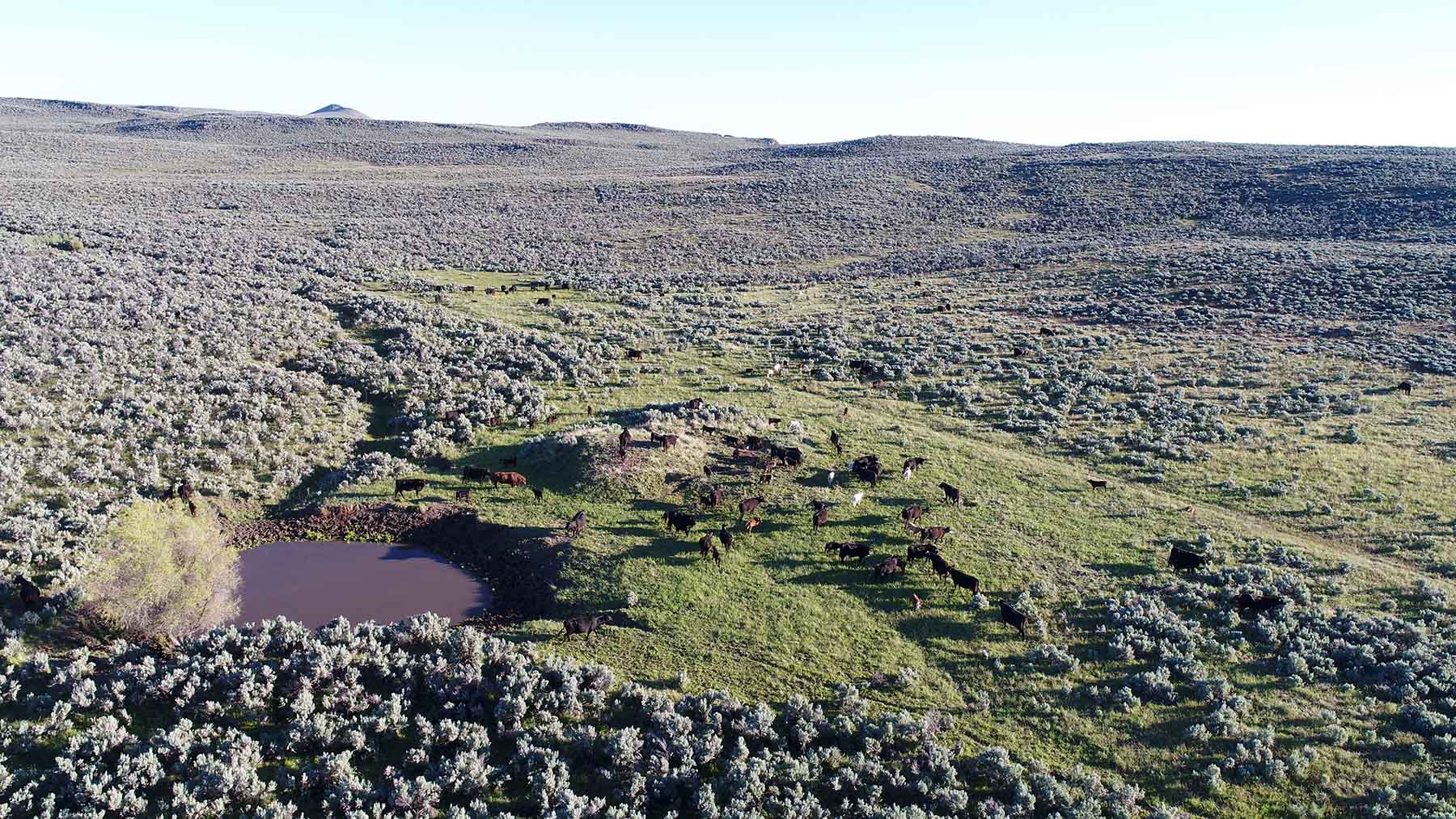 East Magic Ranch property picture 20 of 28