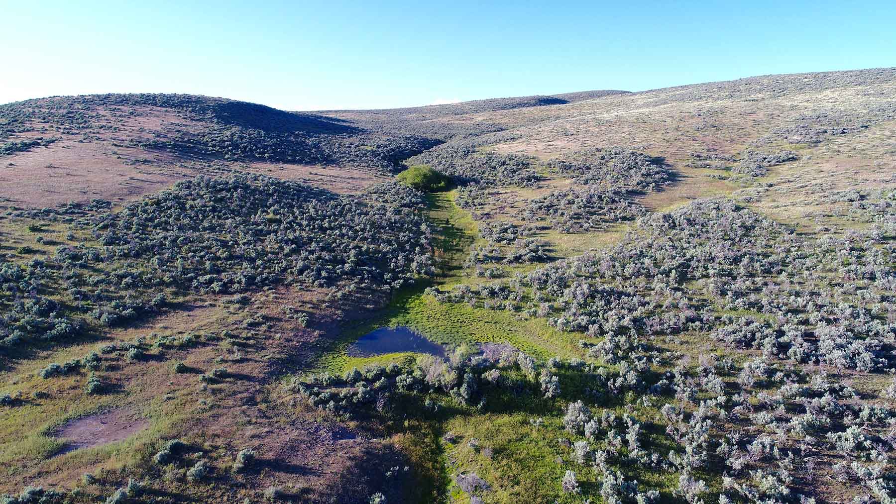 East Magic Ranch property picture 16 of 28