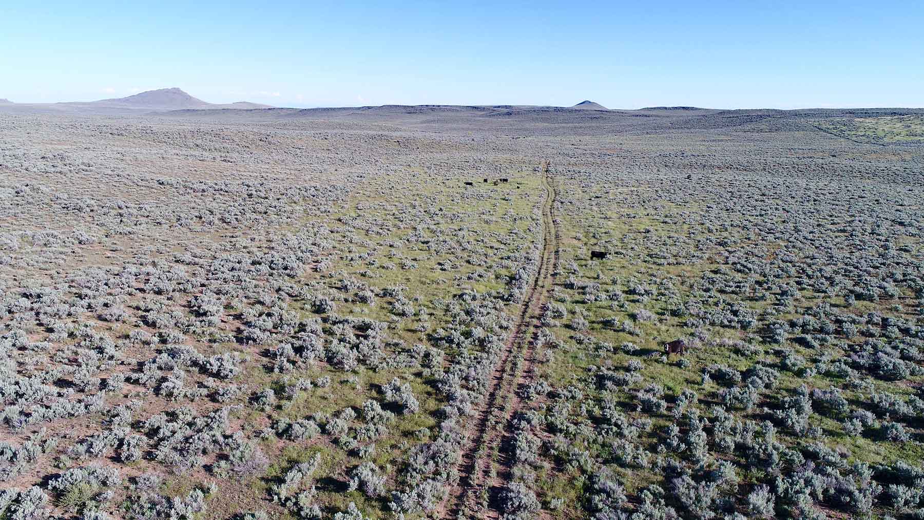 East Magic Ranch property picture 8 of 28