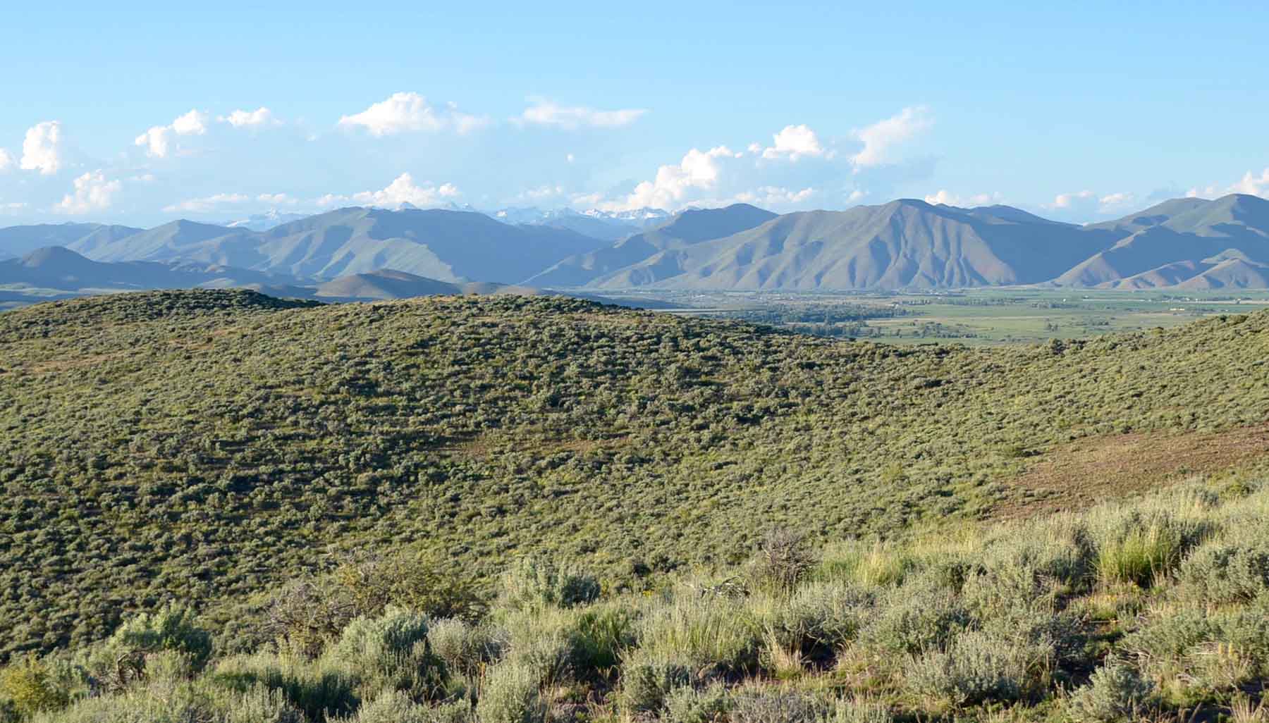 East Magic Ranch property picture 24 of 28