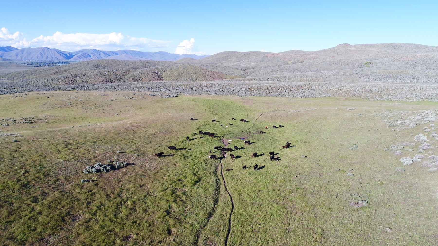 East Magic Ranch property picture 11 of 28