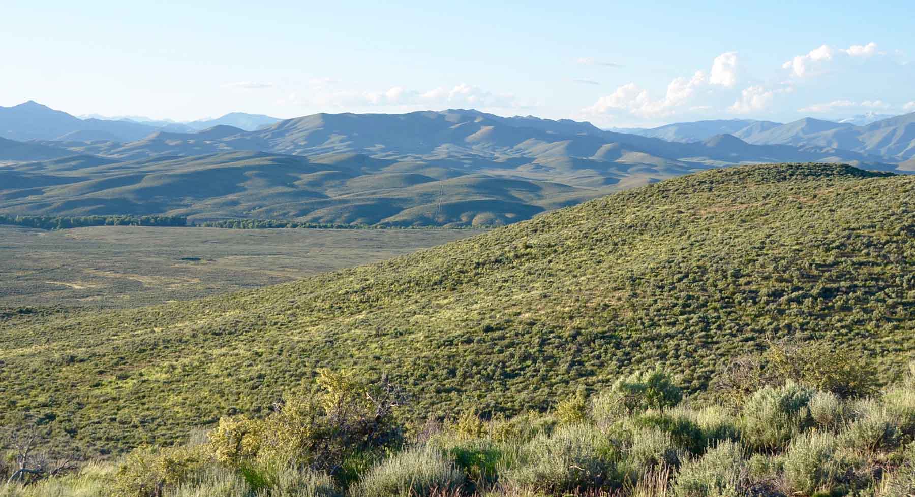 East Magic Ranch property picture 25 of 28