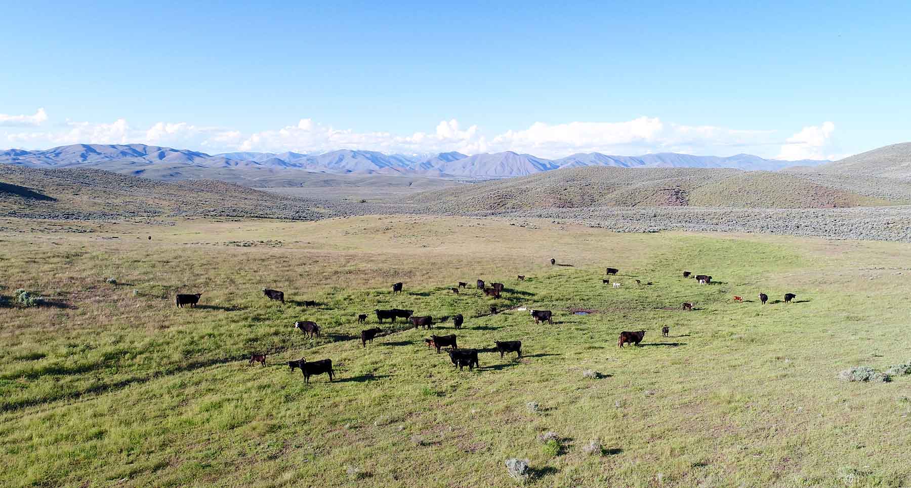 East Magic Ranch property picture 3 of 28