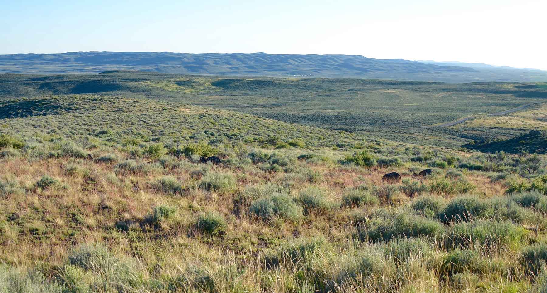 East Magic Ranch property picture 23 of 28