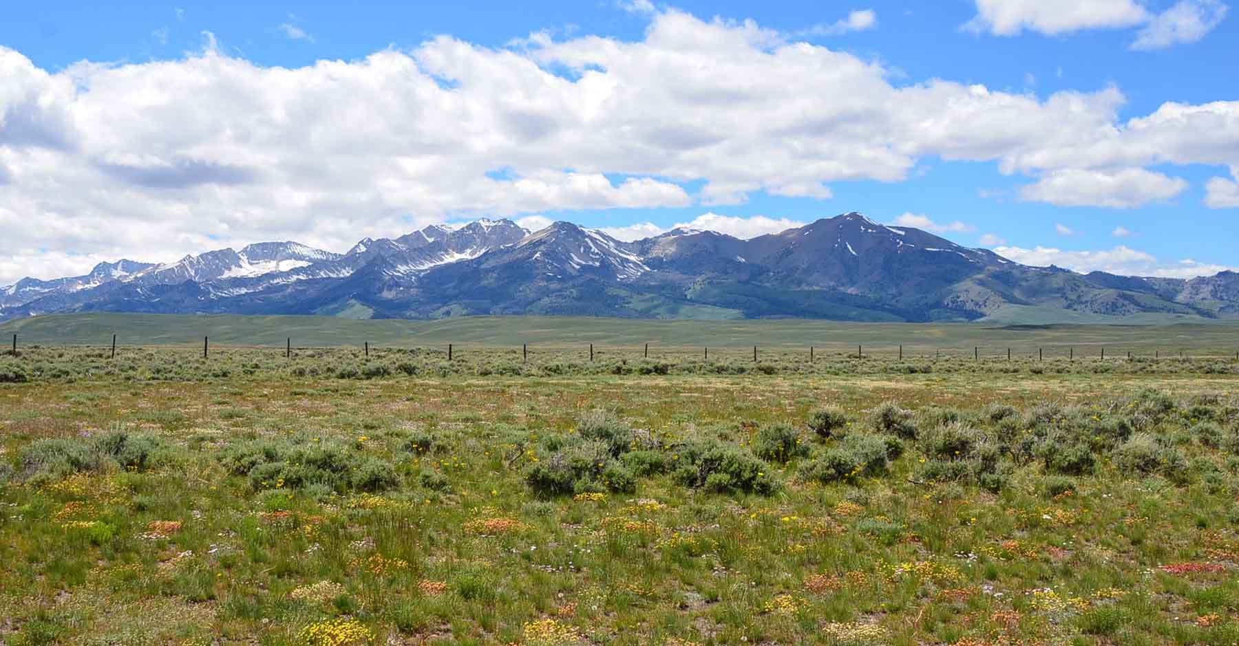 Copper Basin Cabin property picture 38 of 39