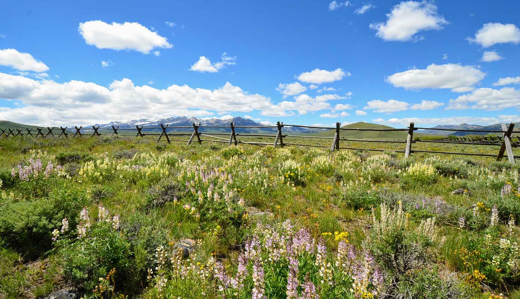 Copper Basin Cabin property picture 33 of 39