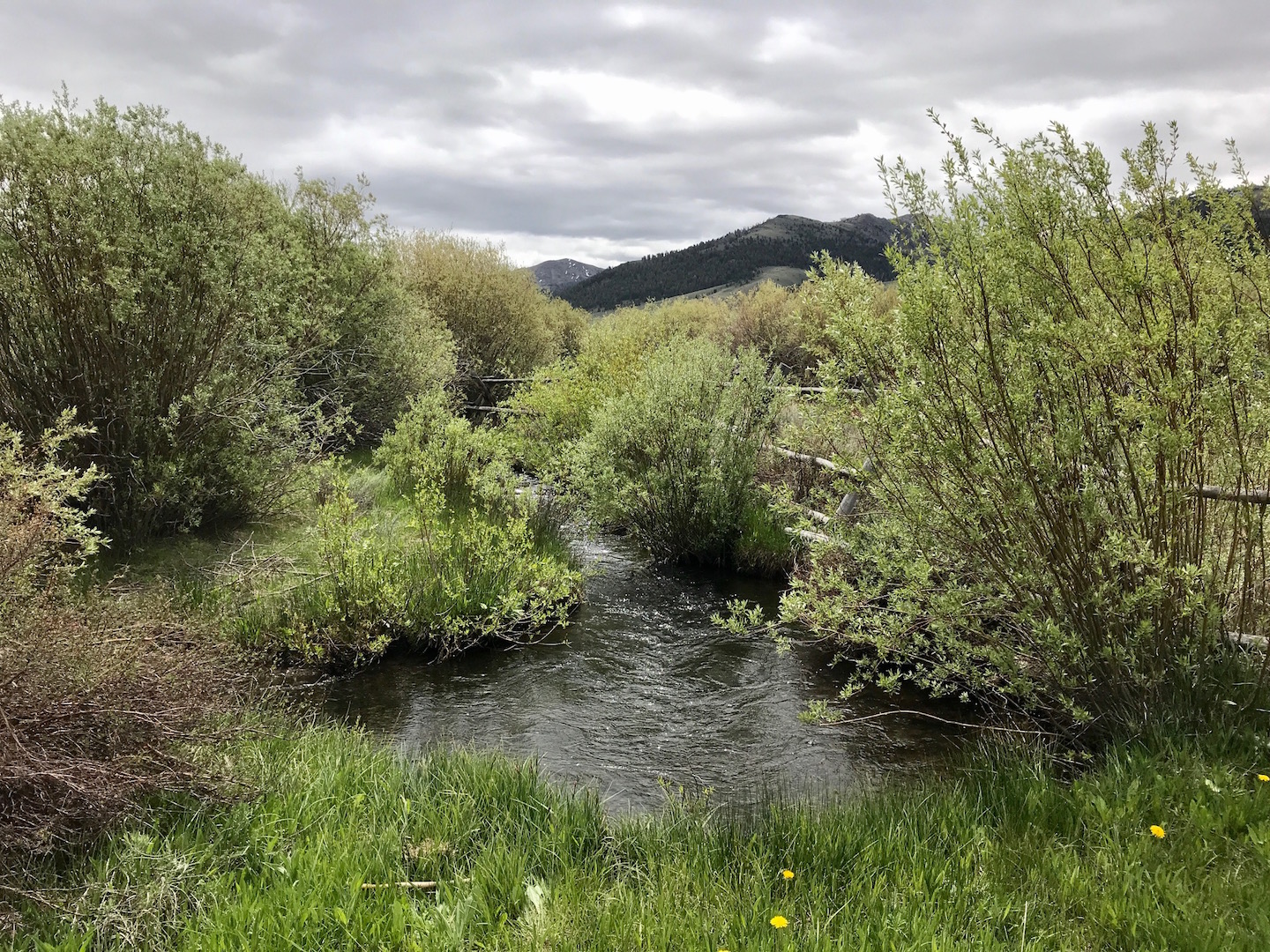 Copper Basin Cabin property picture 35 of 39