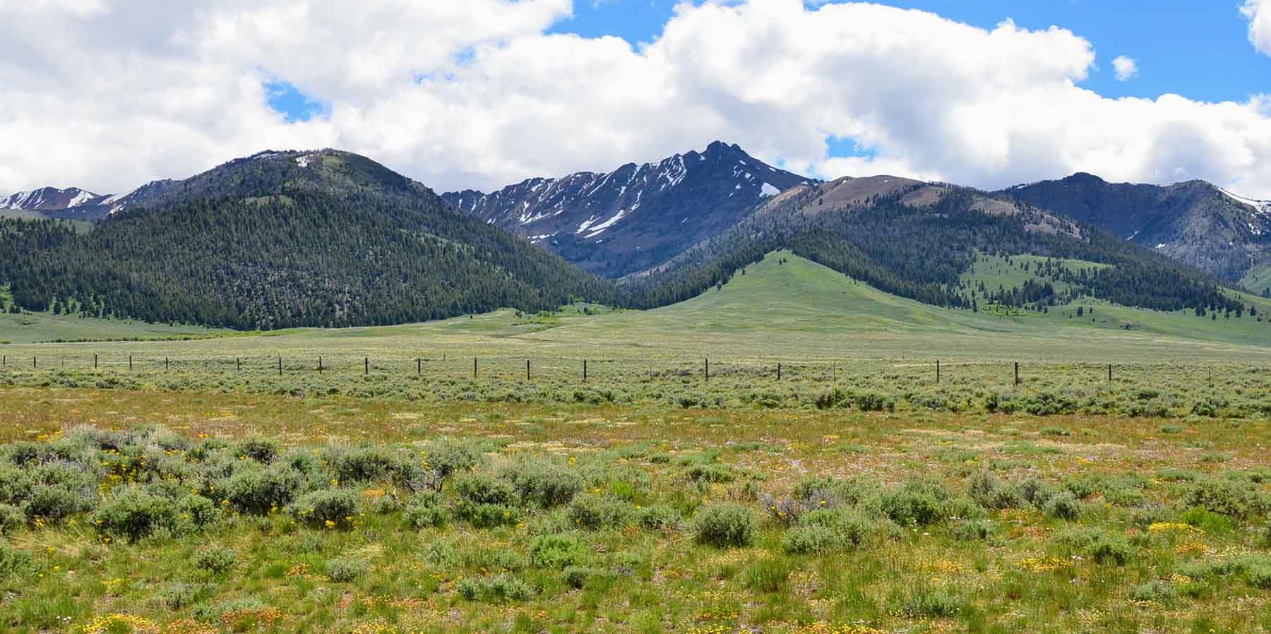 Copper Basin Cabin property picture 34 of 39