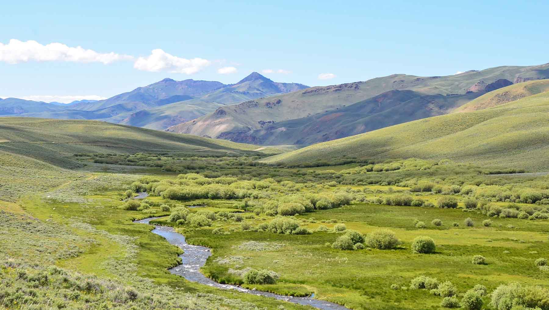 Copper Basin Cabin property picture 39 of 39