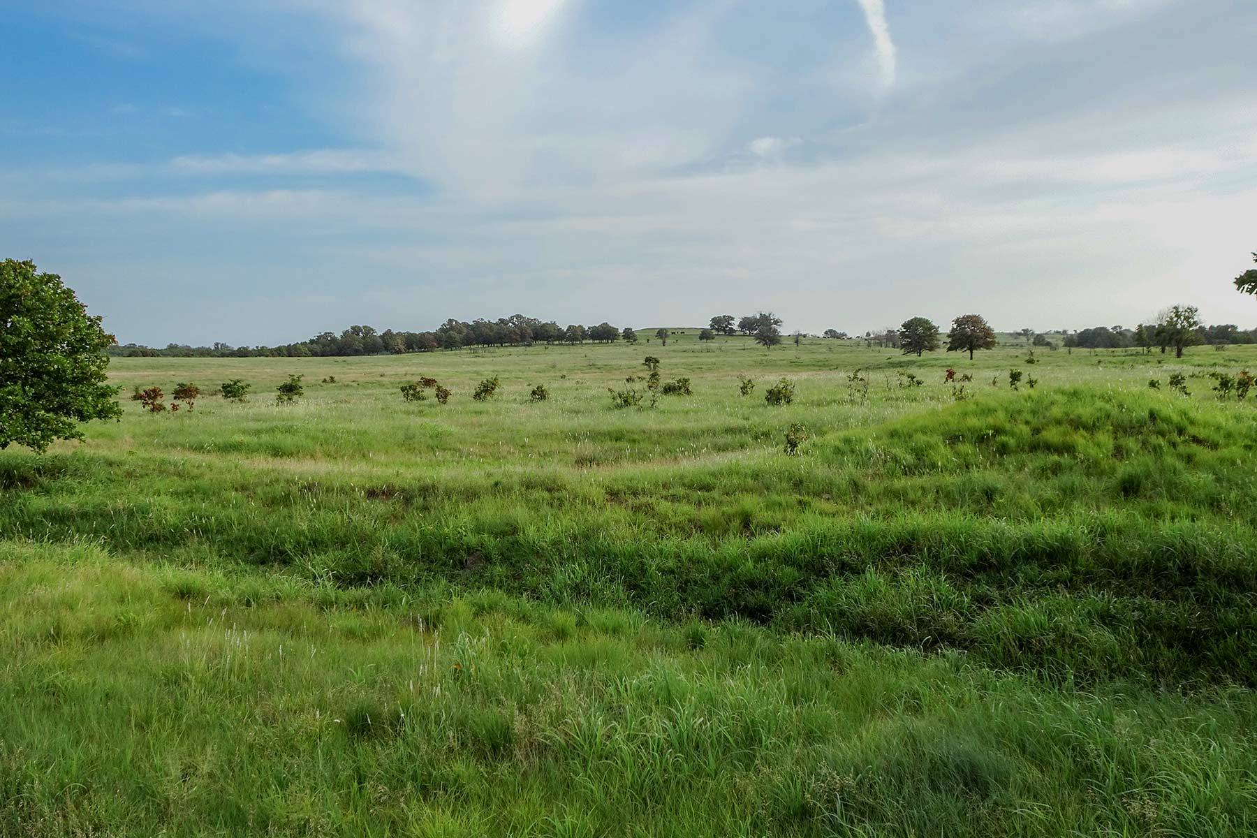 Cedar Vale Ranch property picture 28 of 53