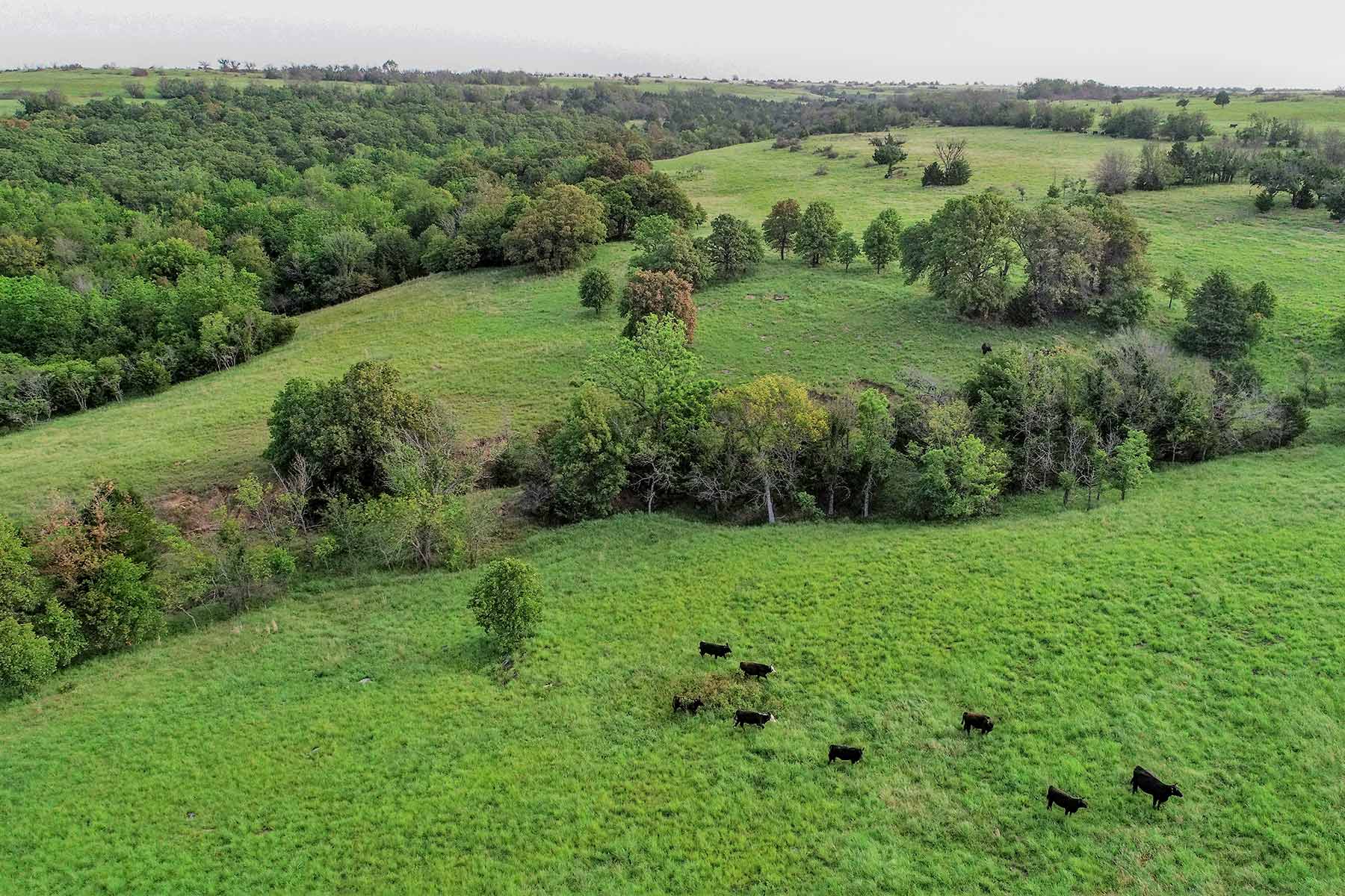 Cedar Vale Ranch property picture 26 of 53