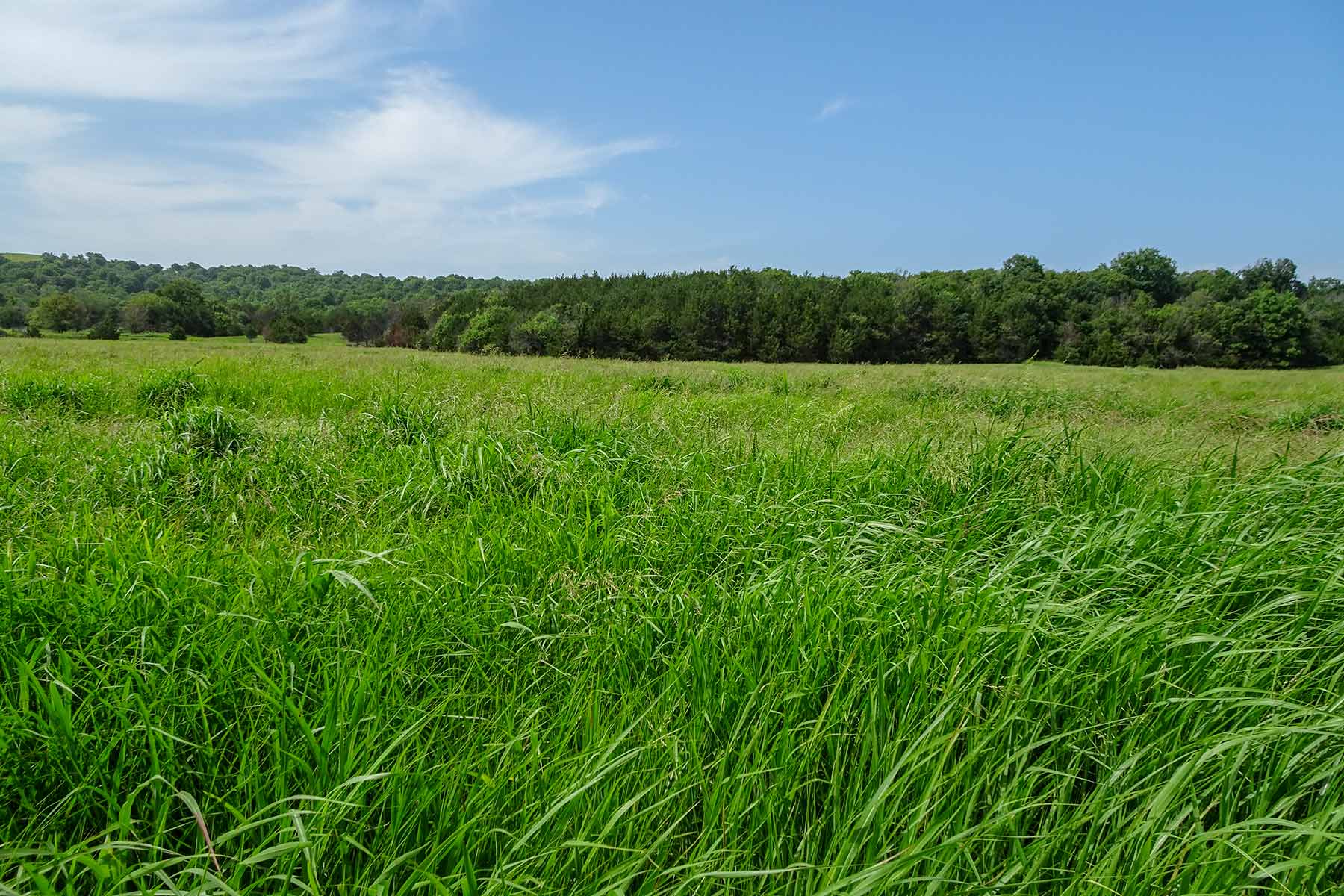 Cedar Vale Ranch property picture 4 of 53