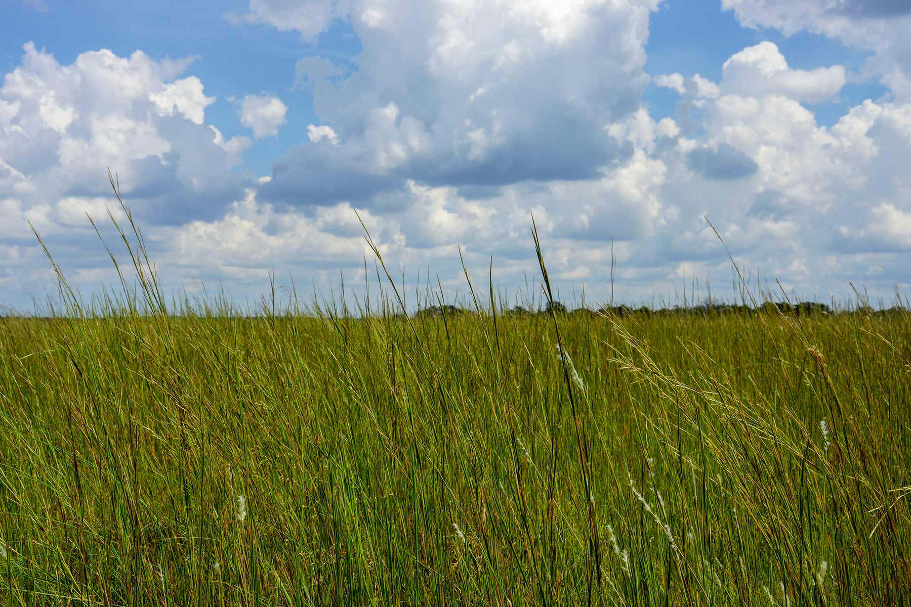 Cedar Vale Ranch property picture 42 of 53