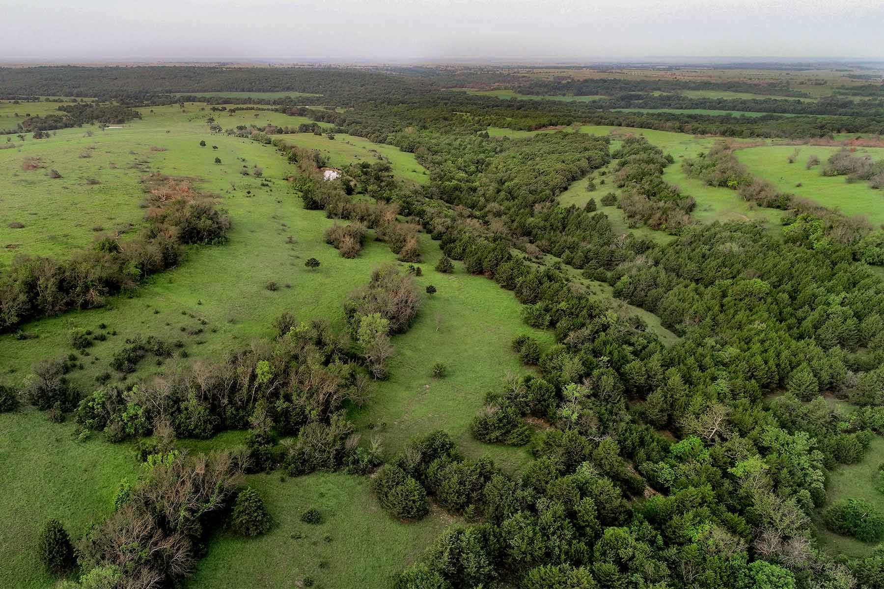 Cedar Vale Ranch property picture 9 of 53