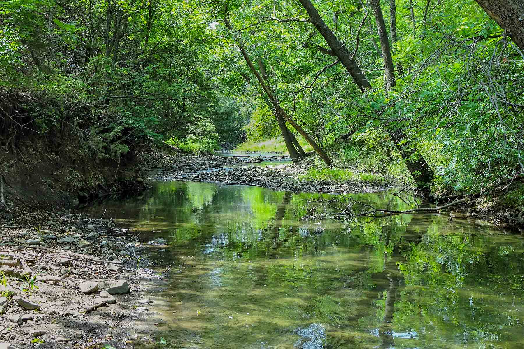 Cedar Vale Ranch property picture 24 of 53