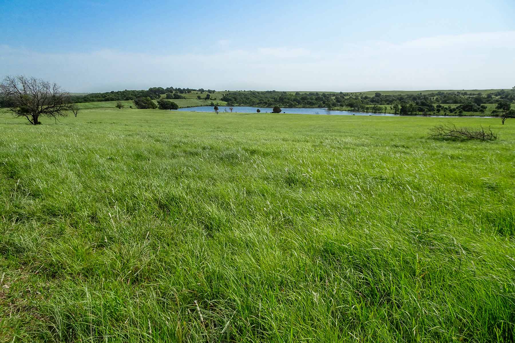 Cedar Vale Ranch property picture 8 of 53