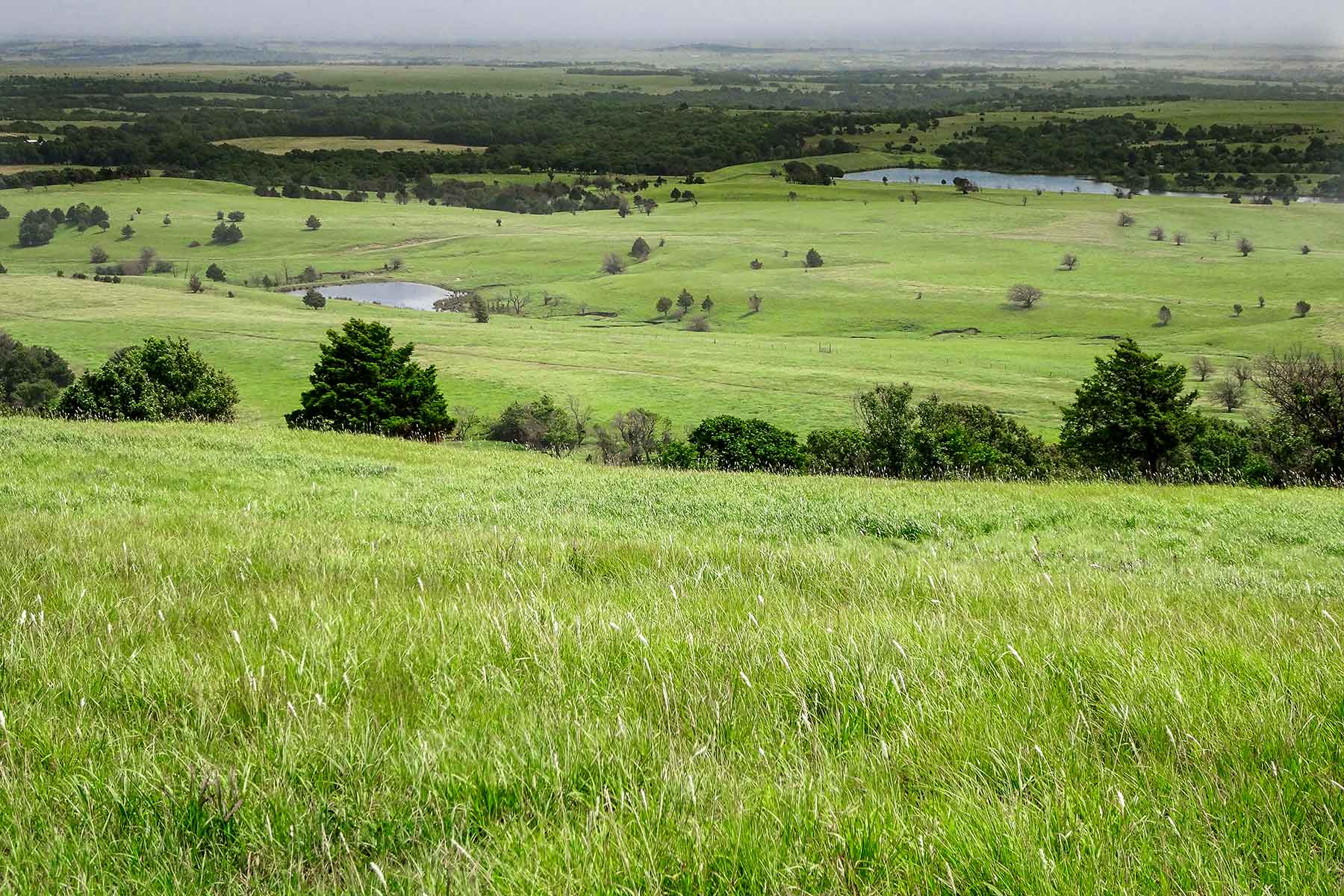 Cedar Vale Ranch Sold Kansas Hall and Hall