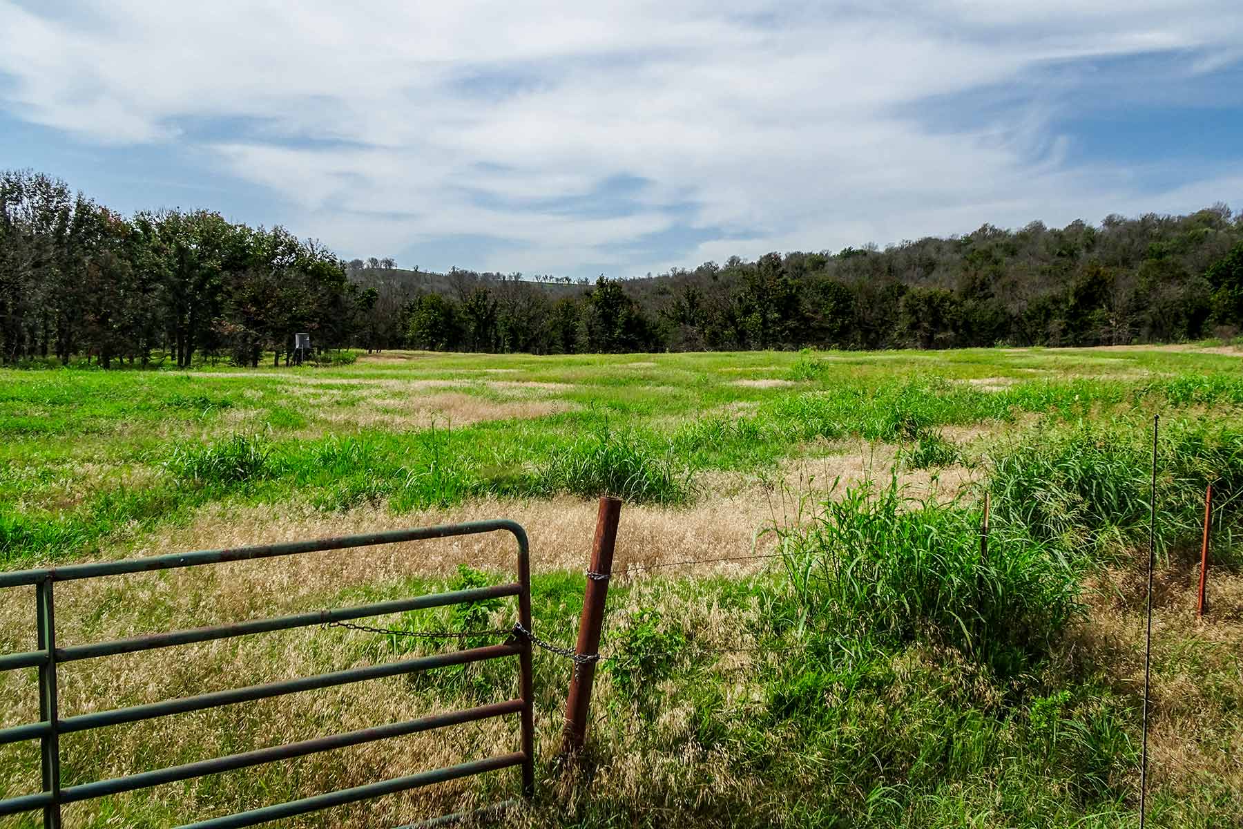 Cedar Vale Ranch property picture 11 of 53