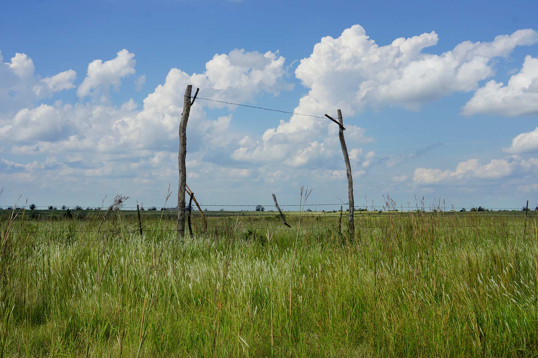 Cedar Vale Ranch property picture 45 of 53