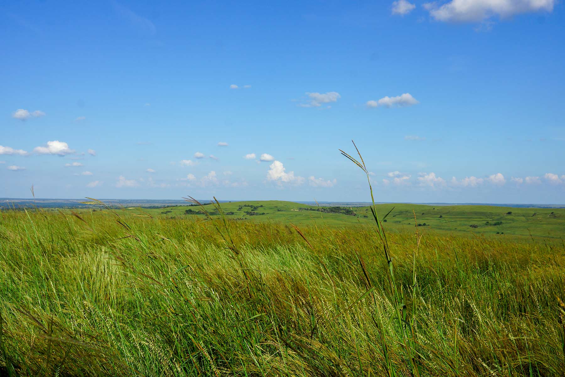 Cedar Vale Ranch Sold Kansas Hall and Hall