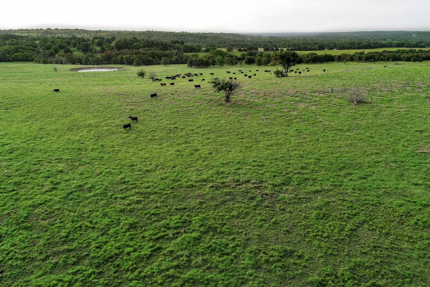 Cedar Vale Ranch property picture 25 of 53