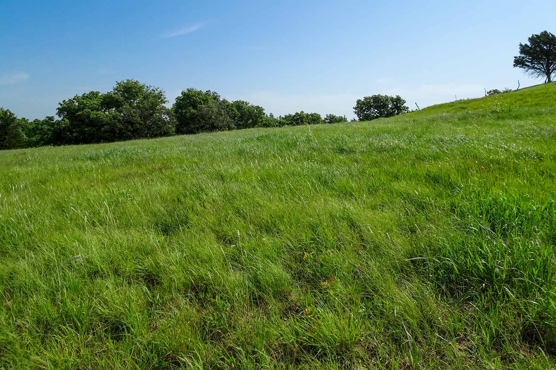 Cedar Vale Ranch property picture 15 of 53