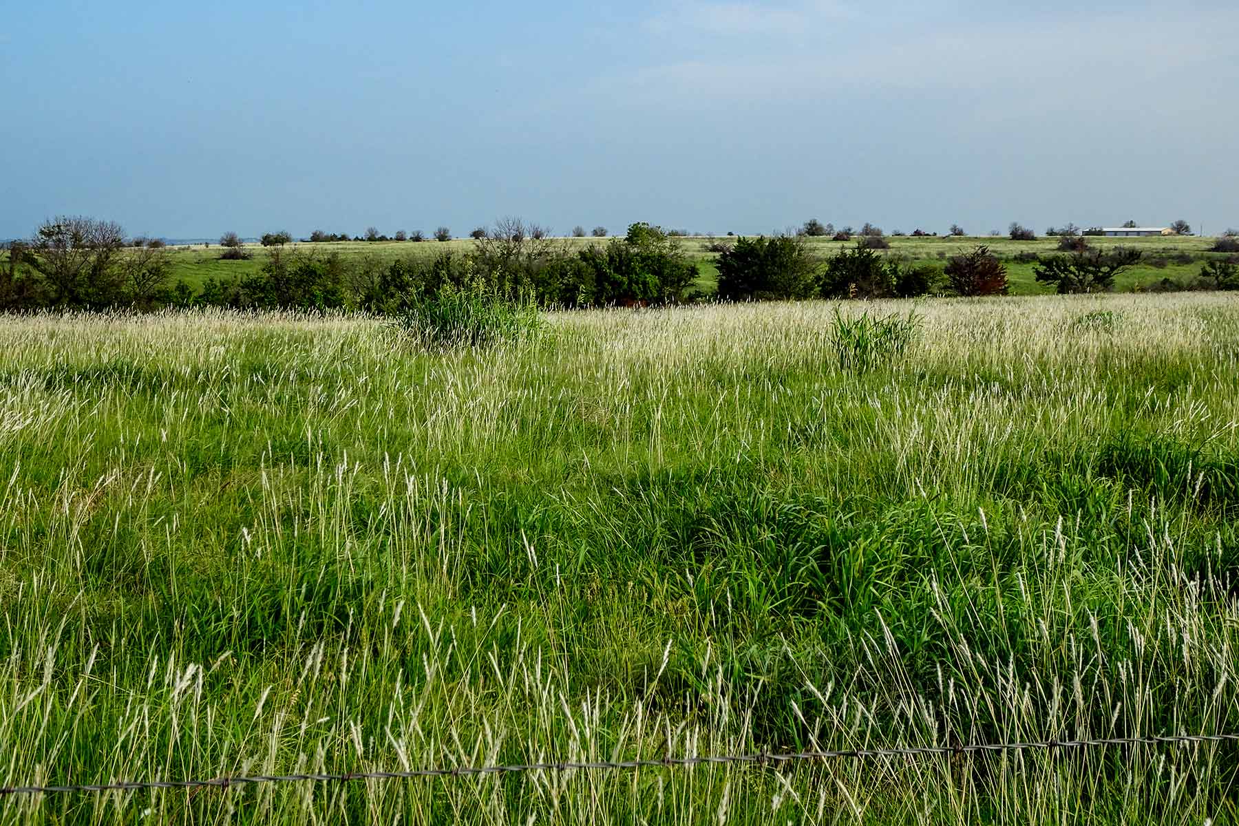 Cedar Vale Ranch property picture 23 of 53