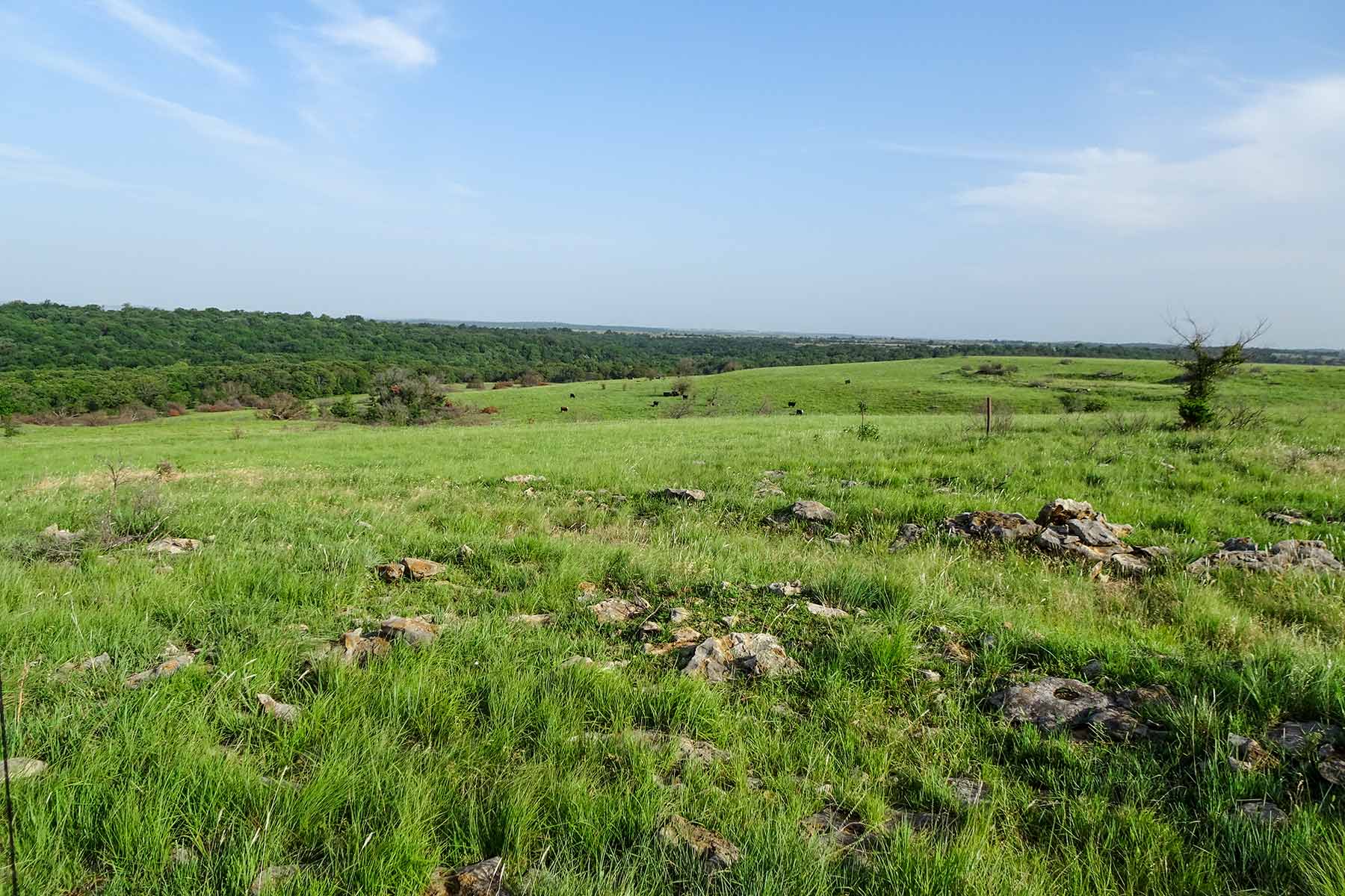 Cedar Vale Ranch Sold Kansas Hall and Hall