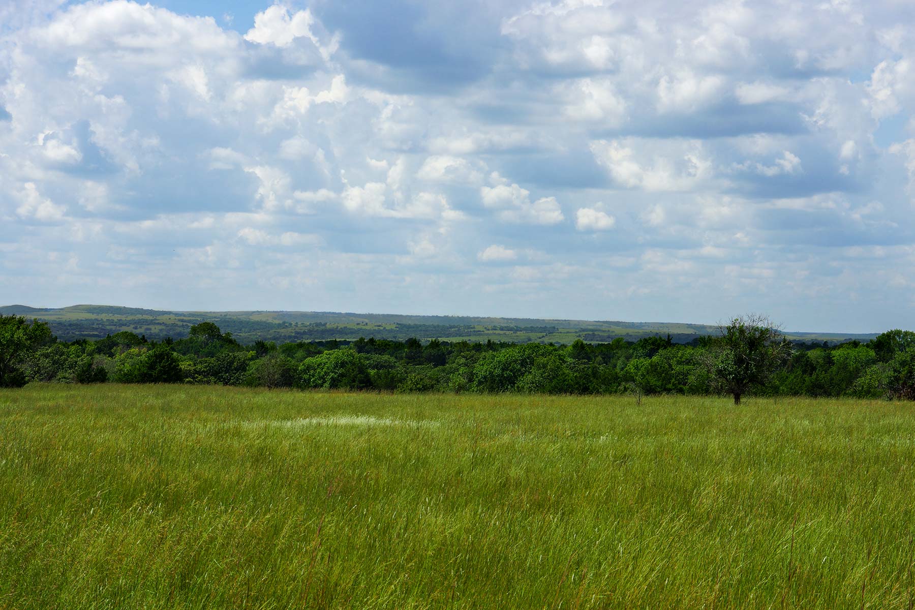 Cedar Vale Ranch property picture 48 of 53