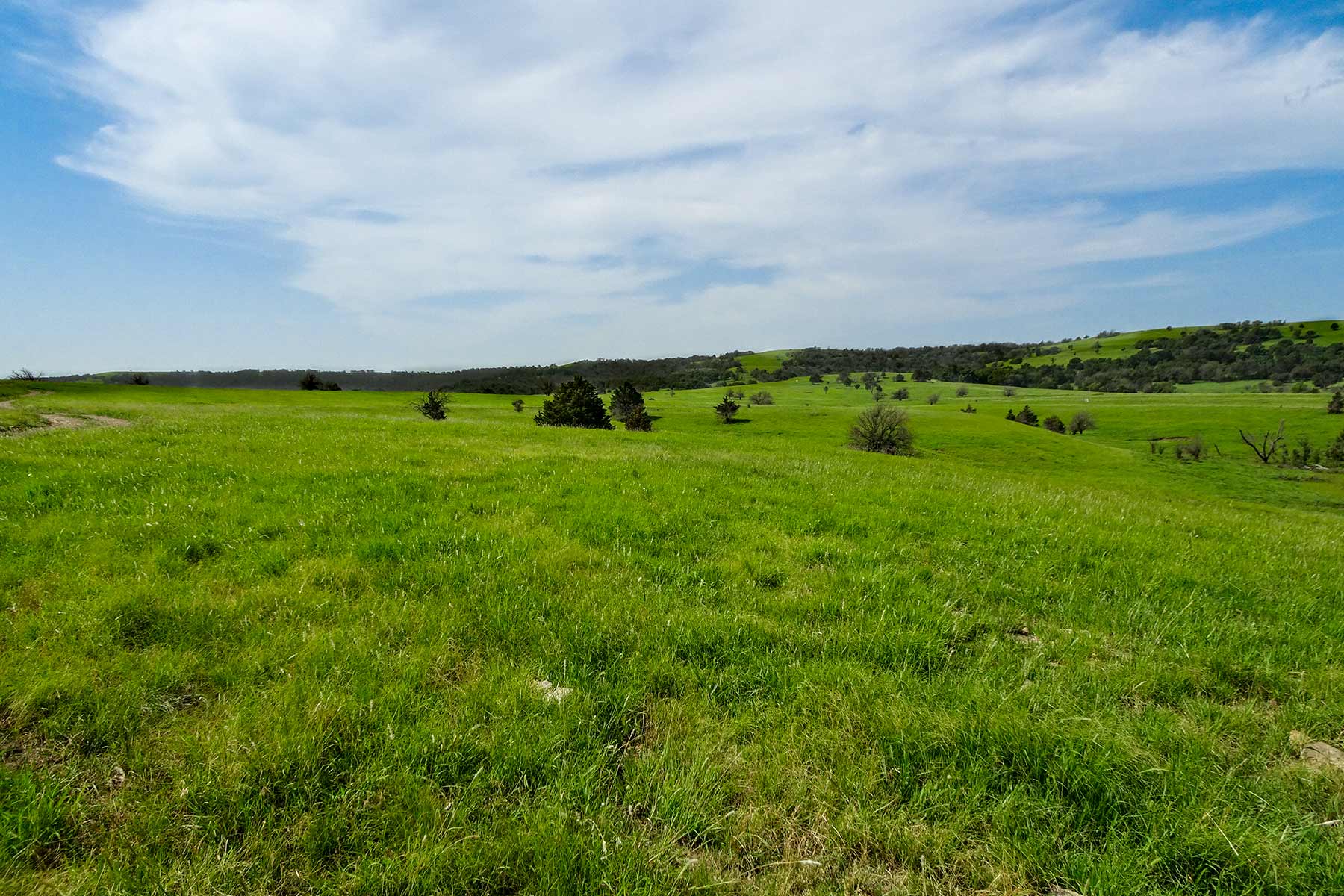 Cedar Vale Ranch property picture 16 of 53