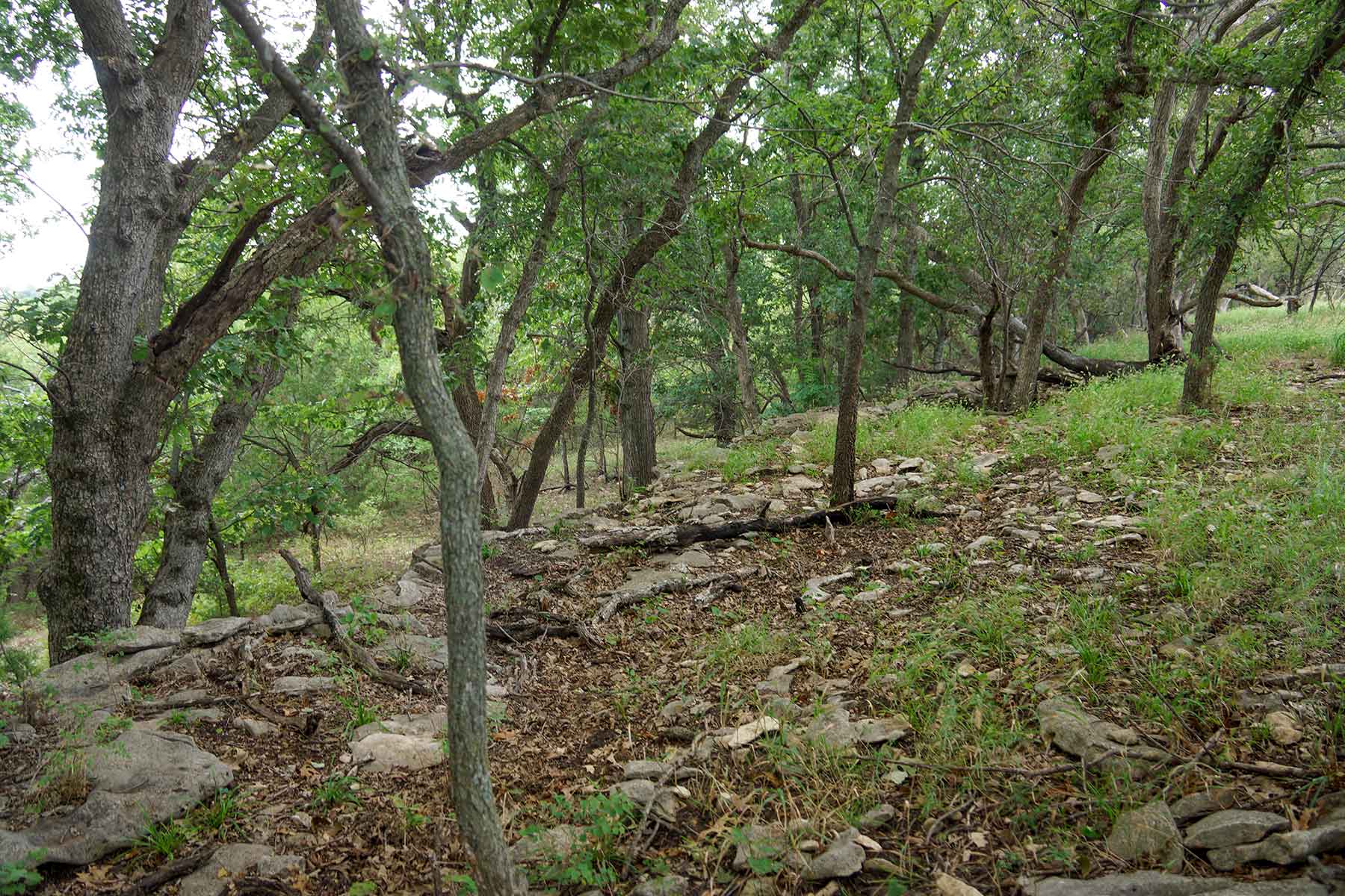 Cedar Vale Ranch property picture 36 of 53