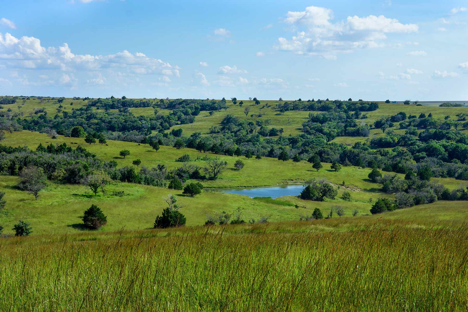 Cedar Vale Ranch Sold Kansas Hall and Hall