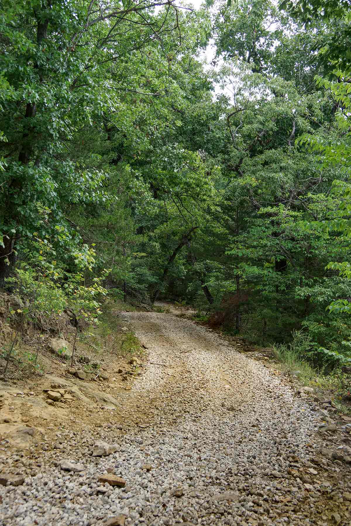 Cedar Vale Ranch property picture 38 of 53