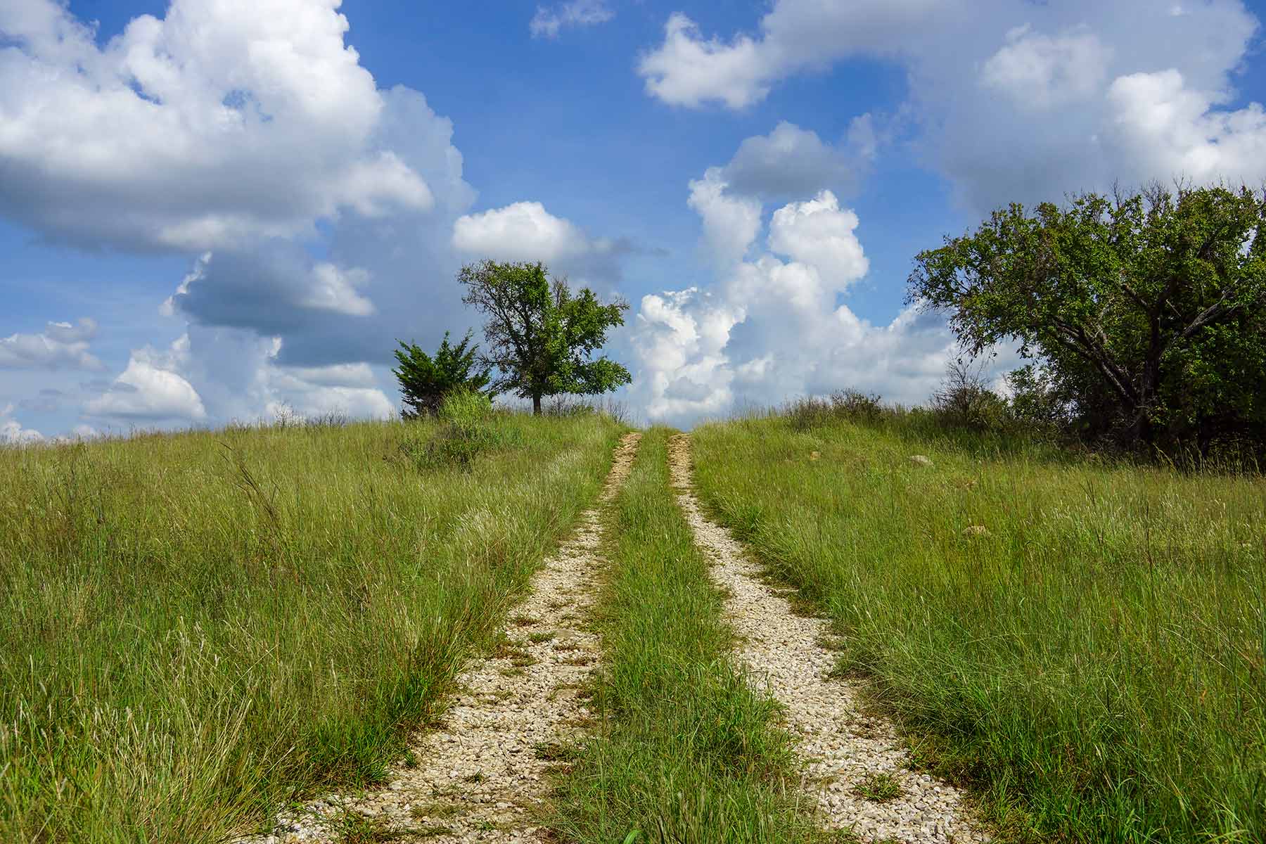 Cedar Vale Ranch Sold Kansas Hall and Hall