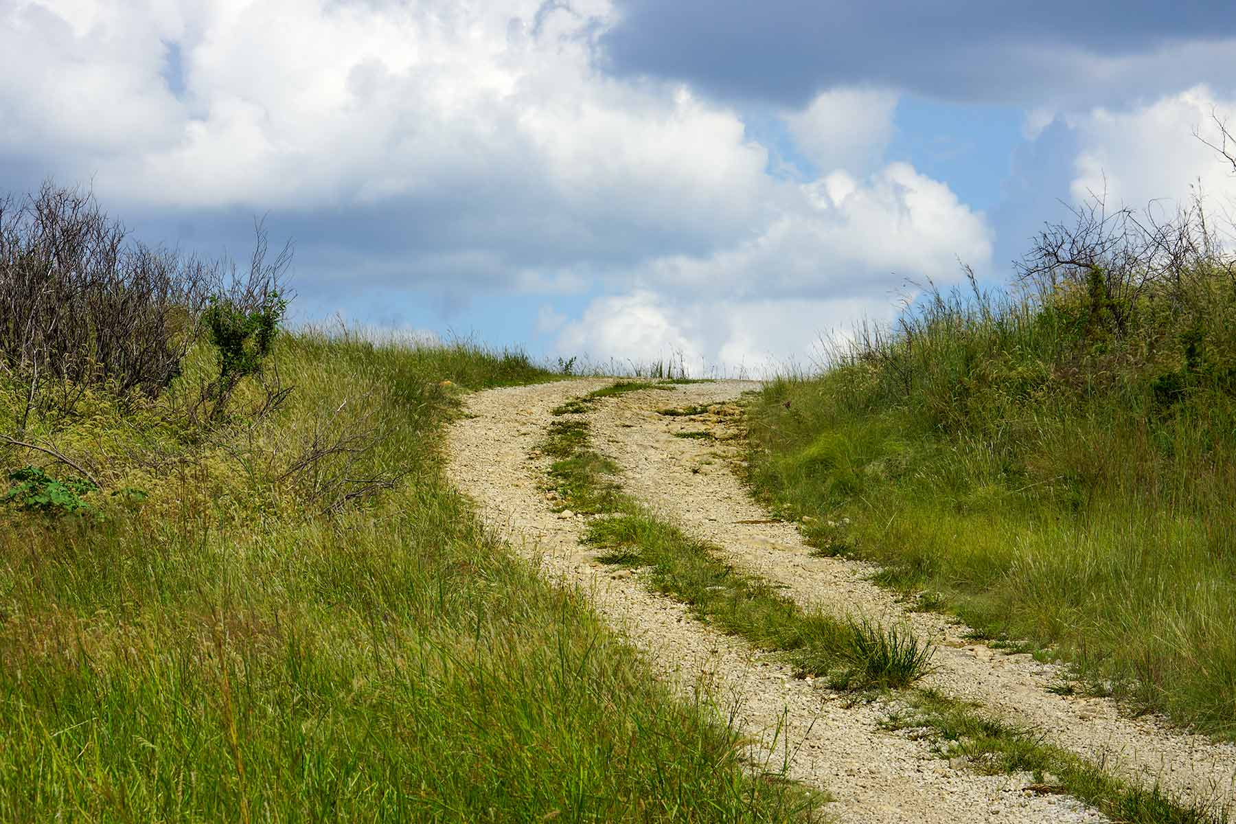 Cedar Vale Ranch property picture 50 of 53