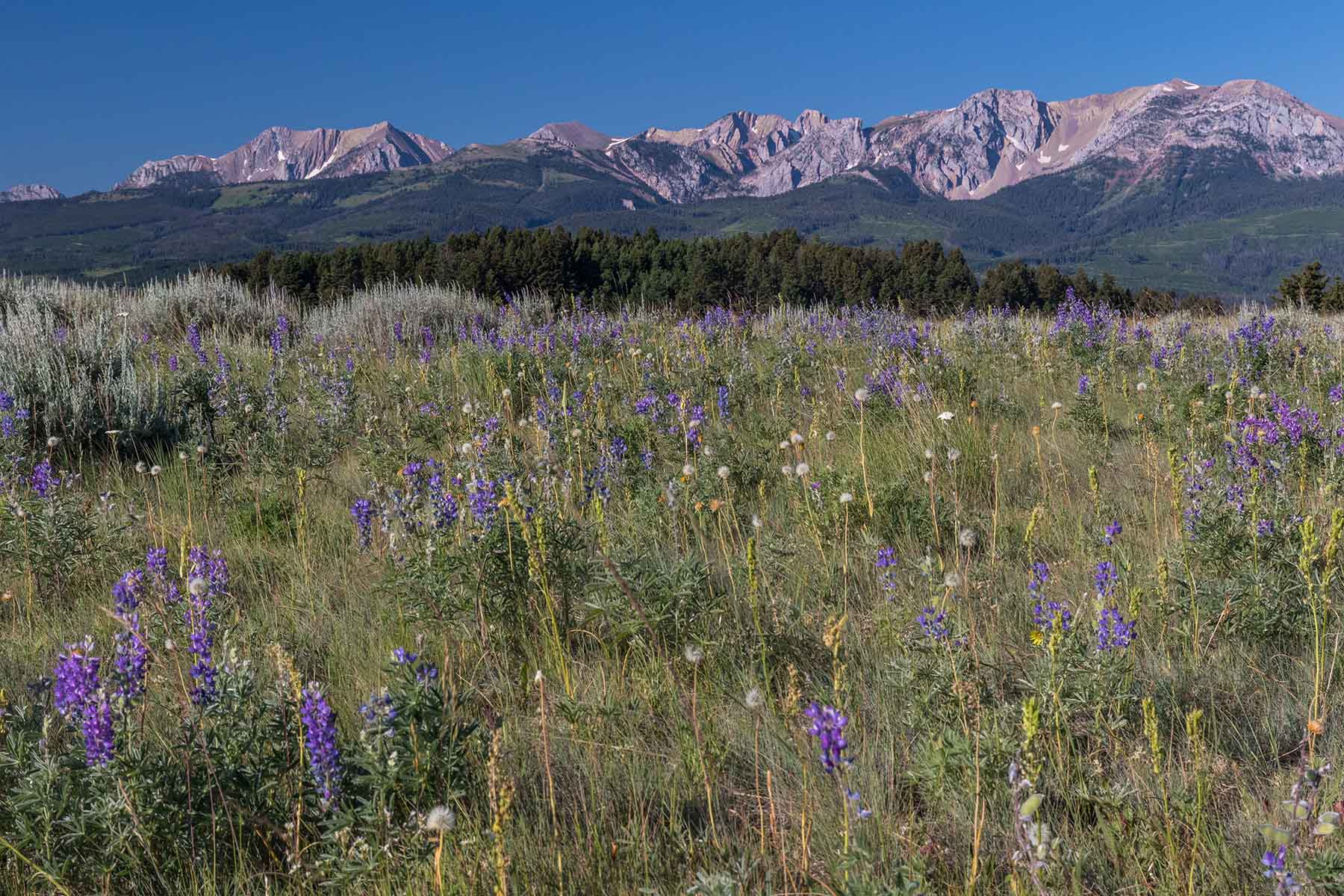 Flathead Pass property picture 9 of 20