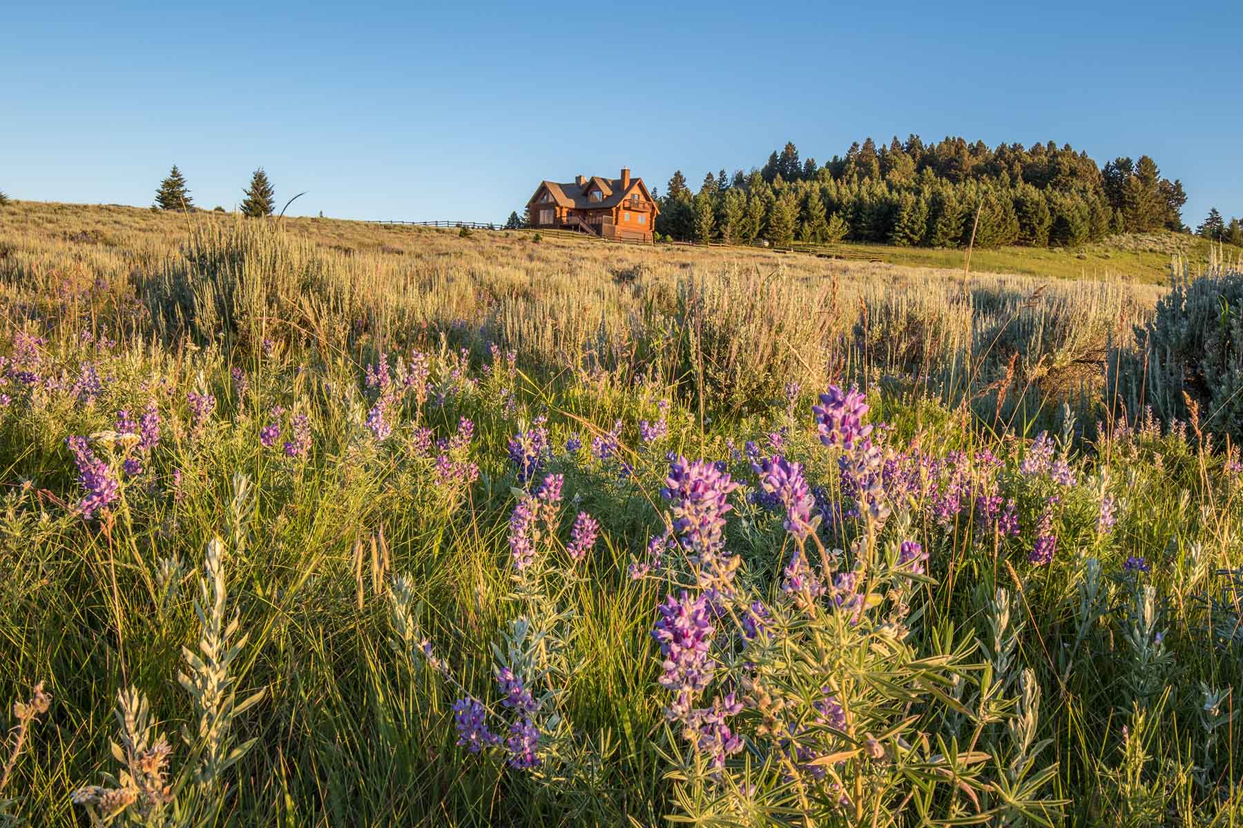 Flathead Pass property picture 3 of 20