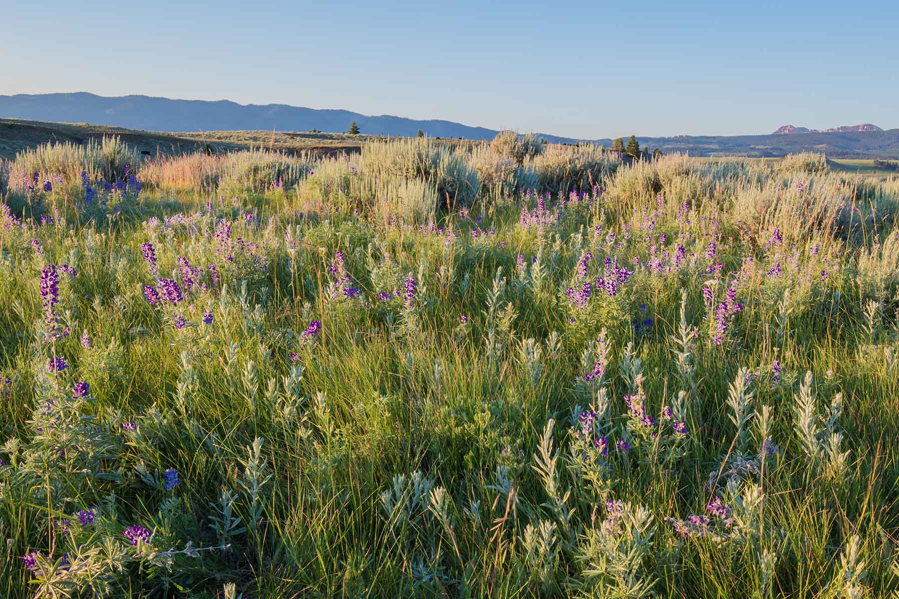 Flathead Pass property picture 12 of 20