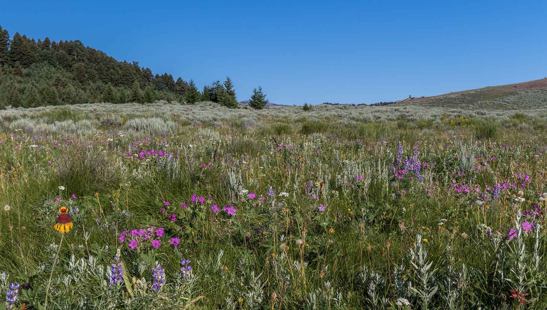 Flathead Pass property picture 19 of 20