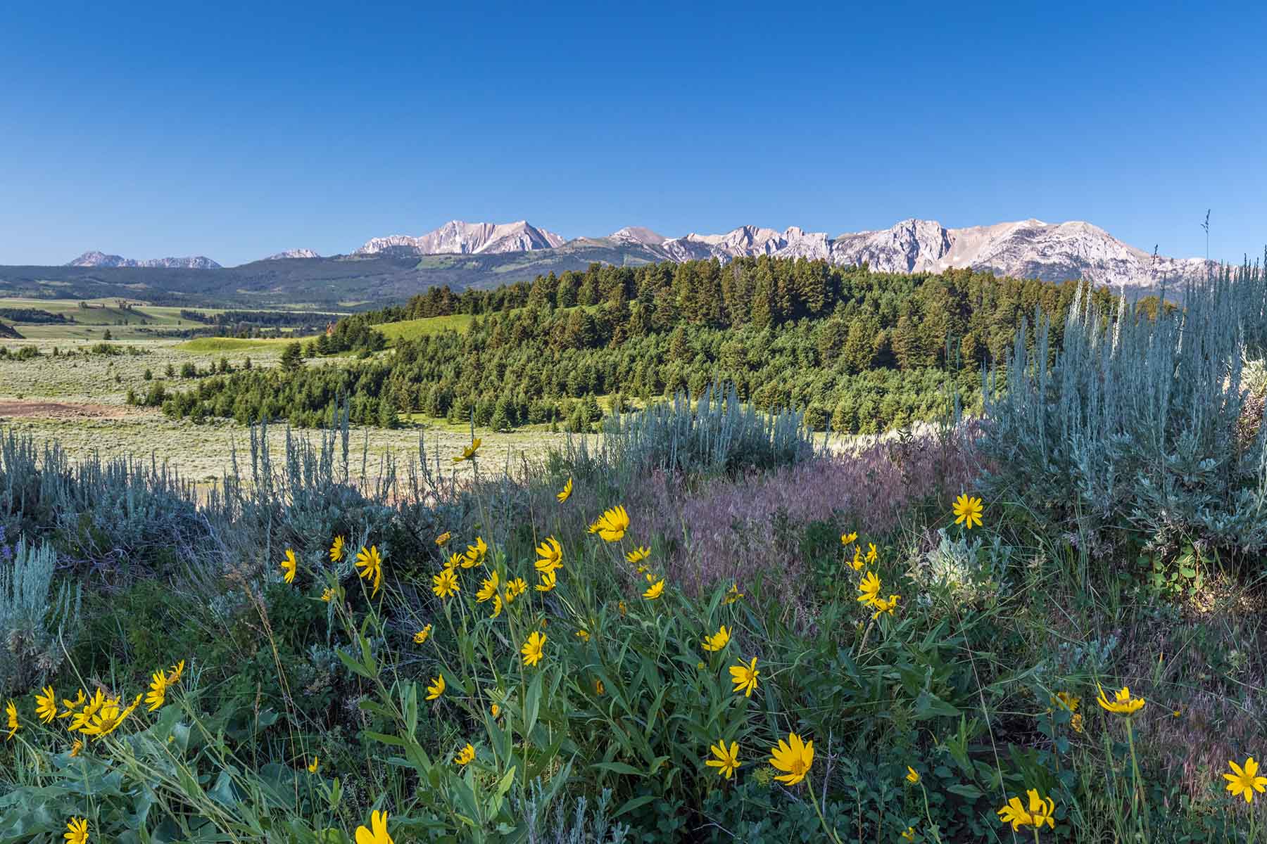 Flathead Pass property picture 2 of 20